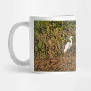 Great white heron in Shallotte Mug